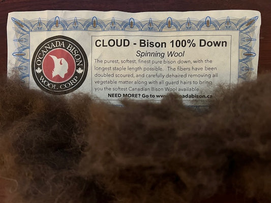 CLOUD - Bison 100% Down